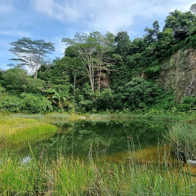 🇸🇬SG’s 1st net positive energy nature park 