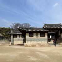 봄에 가면 좋은 창경궁 데이트