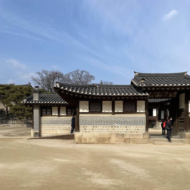 봄에 가면 좋은 창경궁 데이트