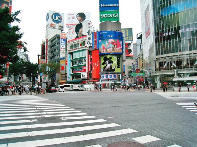 What to go to Tokyo for