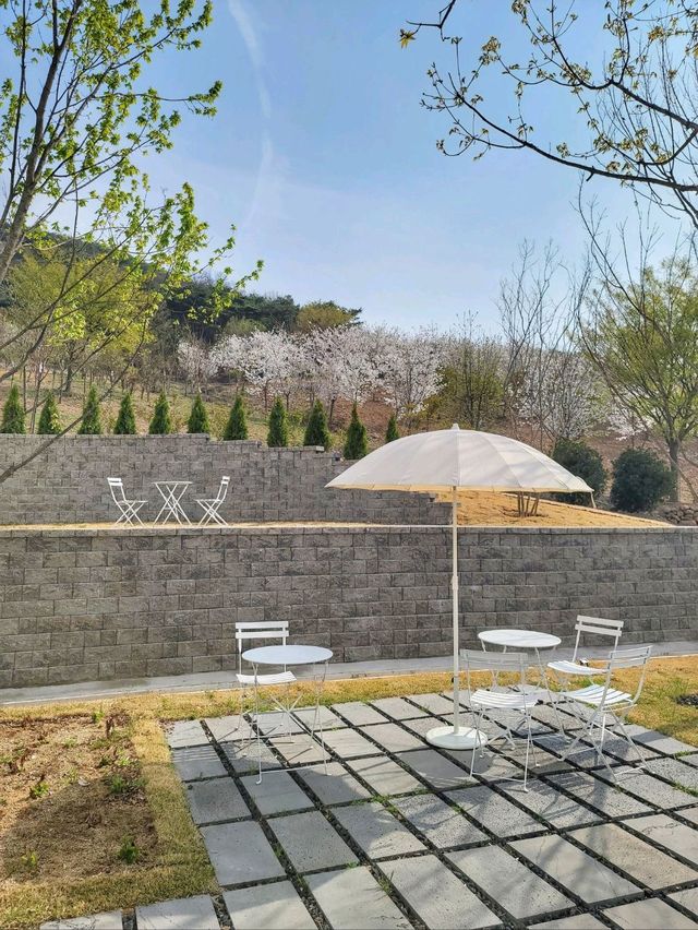 식물복합공간 청도 신상카페 소우모우🌳