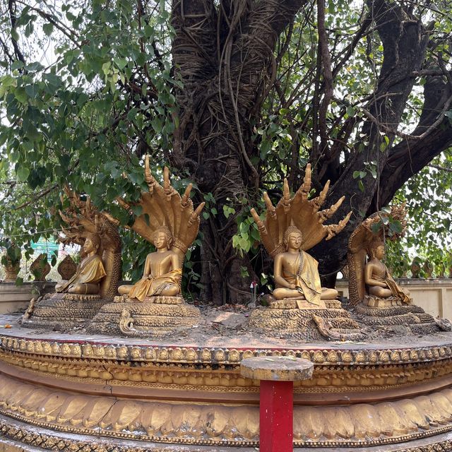 Golden Welcome to Vientiane