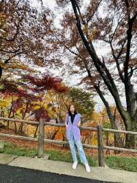 N seoul tower หอคอยชมวิวกรุงโซล🍁