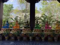 บูชาองค์พญานาค ที่ม่อนพญานาคราชแม่ออน