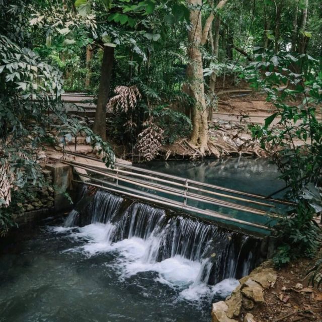 อุทยานแห่งชาติเขาใหญ่ น้ำผุดธรรมชาติ ปากช่องในฤดูฝน