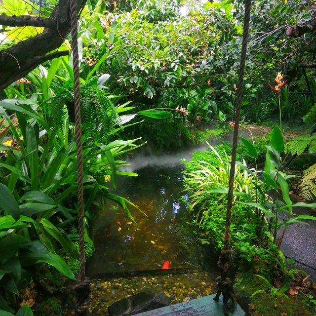 คาเฟ่หลงป่า จ.อุดรธานี