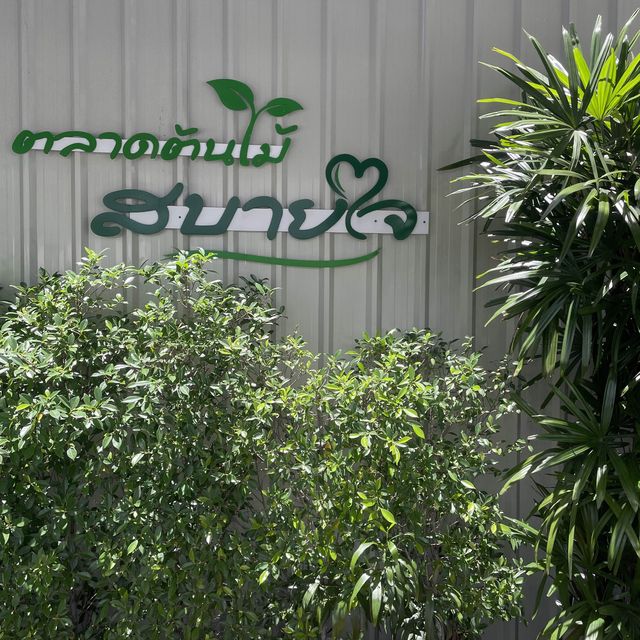 ตลาดต้นไม้สบายใจ 