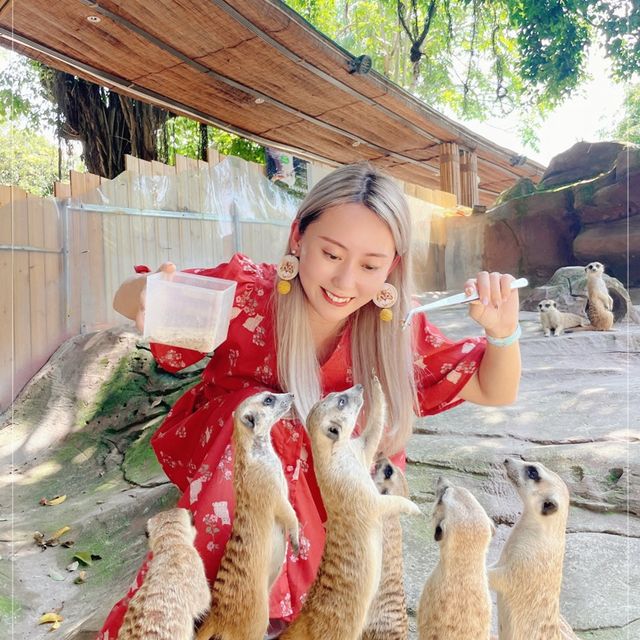 深圳好好玩零距離親親小動物 深圳好好玩零距離親親小動物