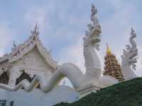 วัดห้วยปลากั้ง จ.เชียงราย