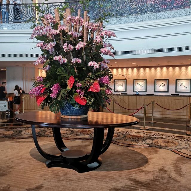 私人行程訂製 合肥到香港三天兩晚