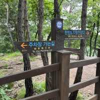 自然に出来た韓国地図！？すごすぎた！