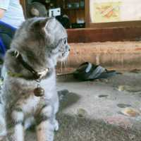 อากาศ ที่ >> เจอพอดี คาเฟ่ !! มุมสบาย เกาะช้าง