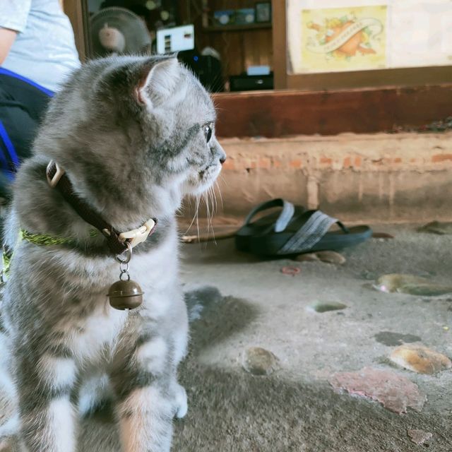 อากาศ ที่ >> เจอพอดี คาเฟ่ !! มุมสบาย เกาะช้าง