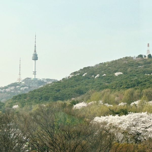 국내 유일 남산뷰를 즐길수 있는 5성급 호텔 그랜드 하얏트 서울