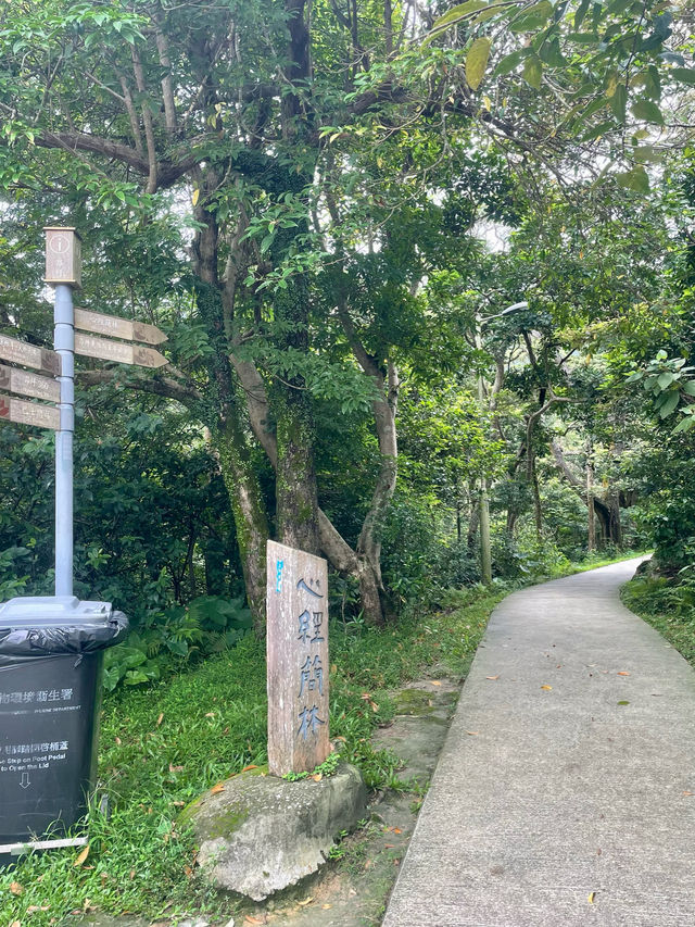 香港大嶼山林中 秘境㊙️