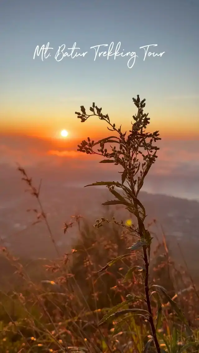 Mt. Batur Sunrise Trek Experience!