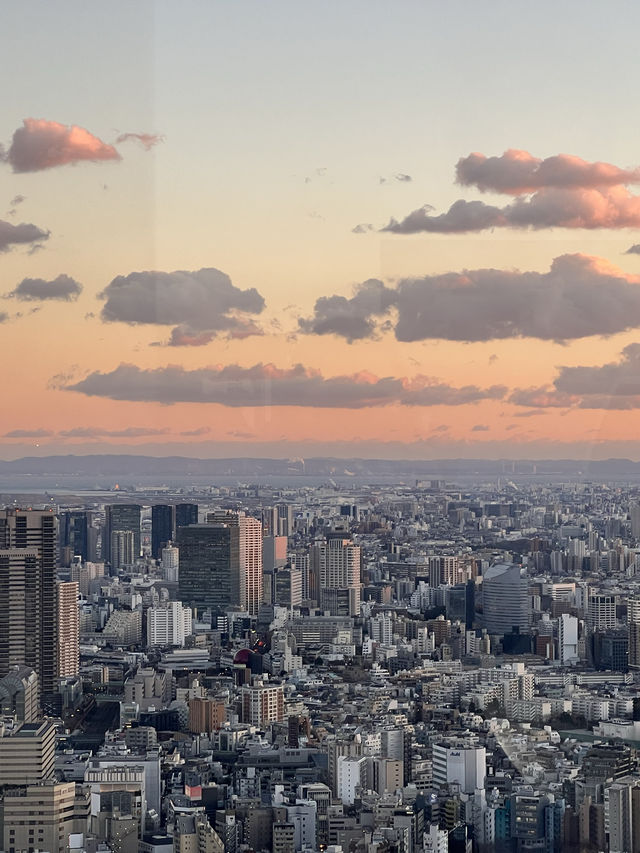 SHIBUYA SKY - the best place for Tokyo cityscape 