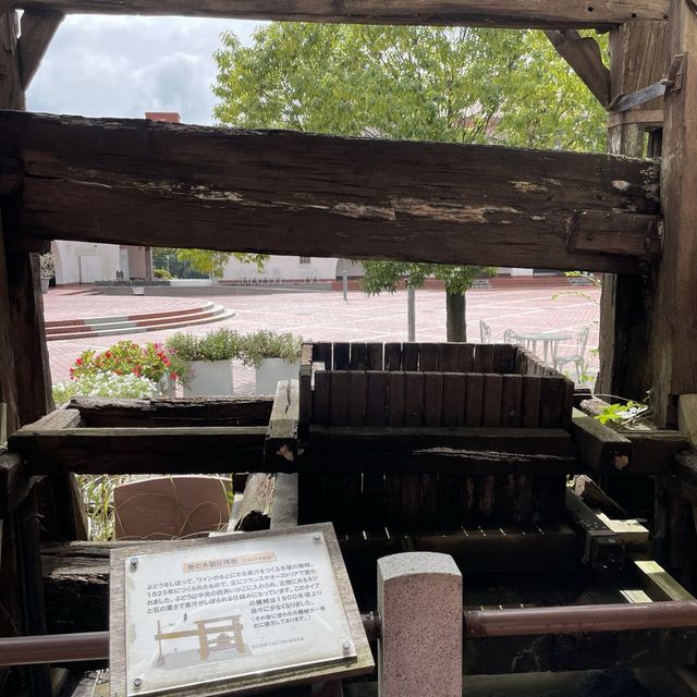 【兵庫県】ワイン好きなら一度は行きたい神戸ワイナリー