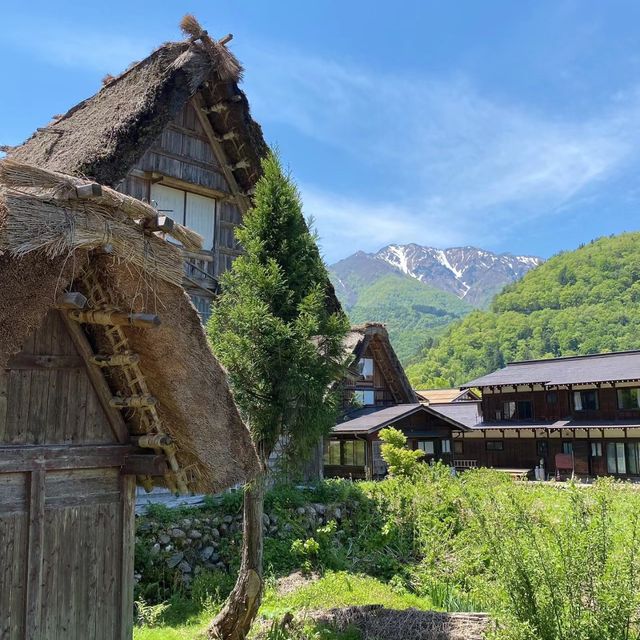 🏞️❄️ 白川鄉～童話般的風景與豐富文化 🏯🌸😍