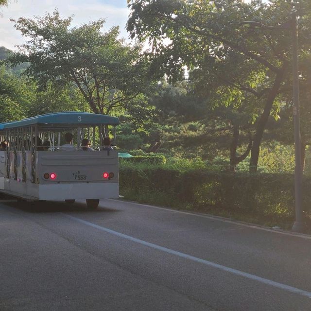 서울대공원 산책길을 거닐며