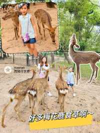 深圳動物園攻略
