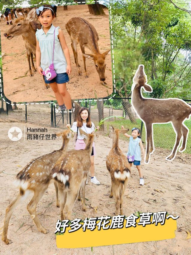 深圳動物園攻略