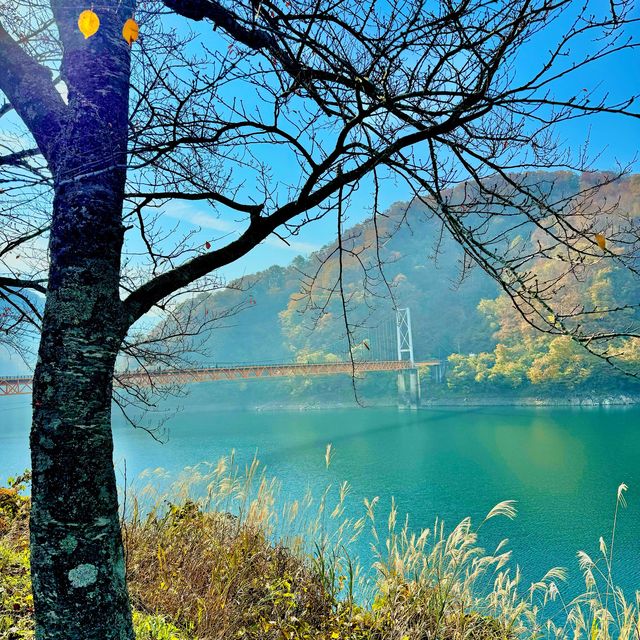 夢のかけ橋