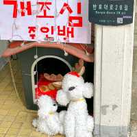 줄서는식당에 나온 교대맛집⋆