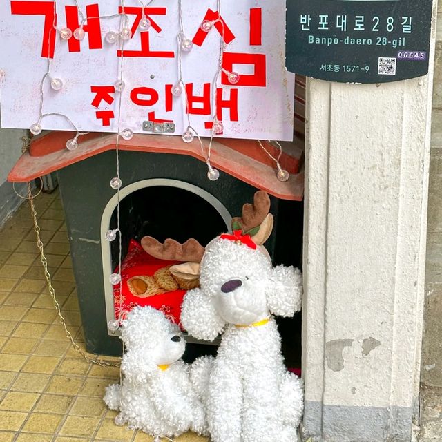 줄서는식당에 나온 교대맛집⋆