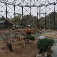 シロクマクレープ　天王寺動物園