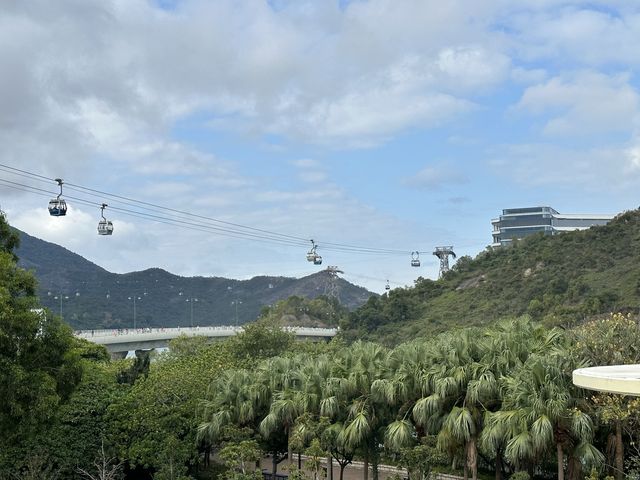 本地遊 | 東涌 | 捉緊櫻花園廣州櫻的尾巴