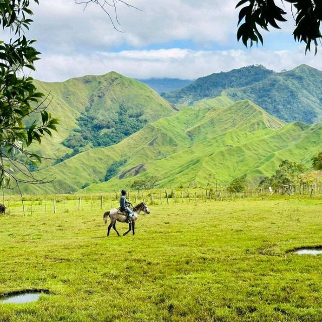 BREATHTAKING Scenery @Communal Ranch Bukidnon