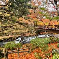 富士山高質溫泉旅館🗻日式庭園「鐘山苑」
