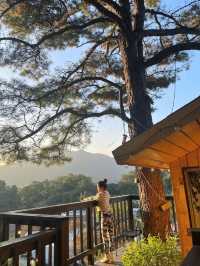 양평 포토존 천국 카페,’소풍’🏡