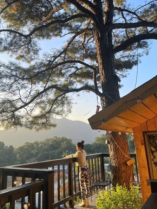 양평 포토존 천국 카페,’소풍’🏡