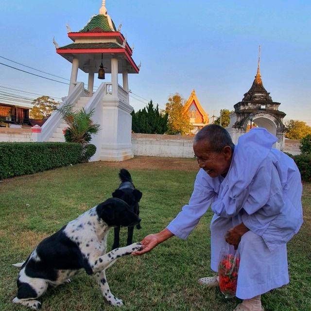 วัดพระบรมธาตุทุ่งยั้ง อ.ลับแล จ. อุตรดิตถ์