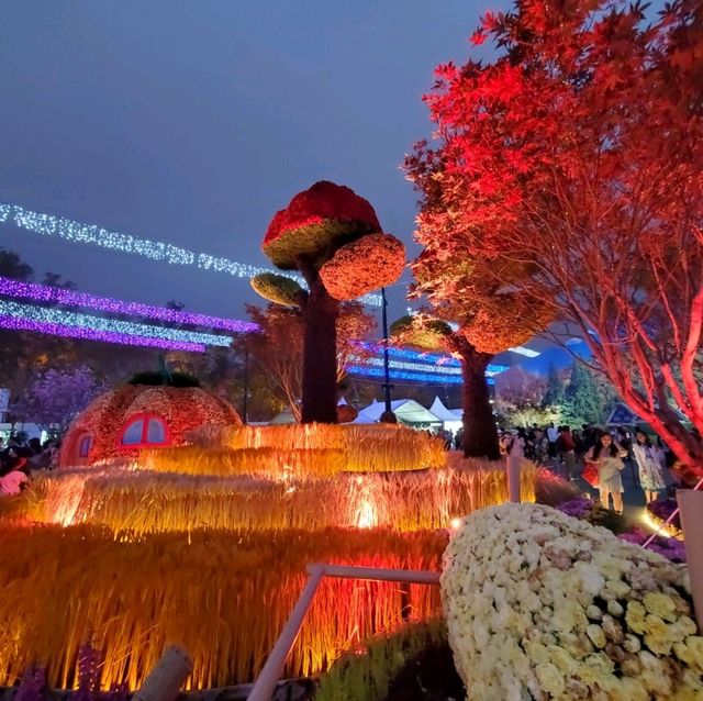 香港花卉展覽2023 - 夜
