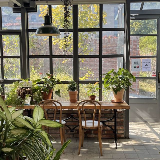 이천 티하우스에덴, 식물원카페🌿
