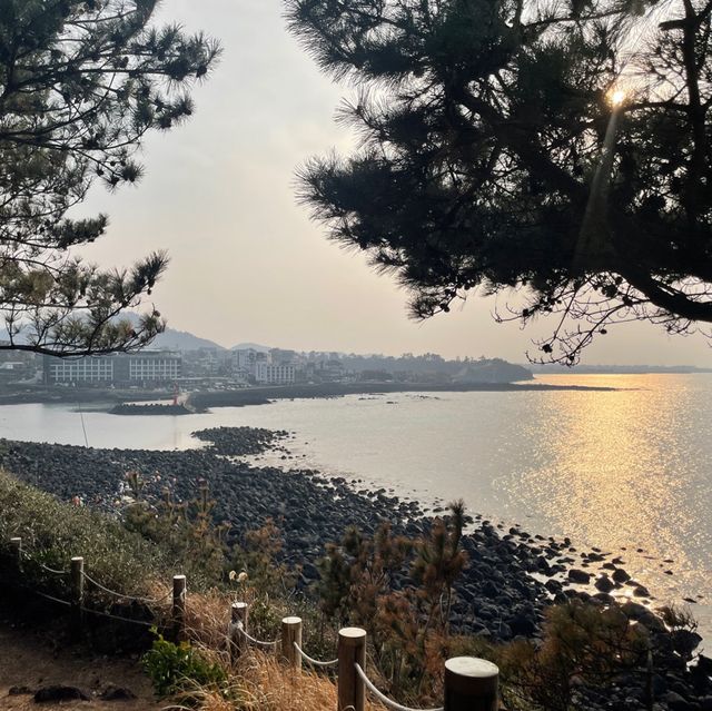 제주에서 유채꽃과 2박3일 