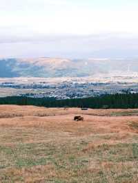 日本九州 | 草千里 廣闊大草原🐎 看阿蘇火山🌋