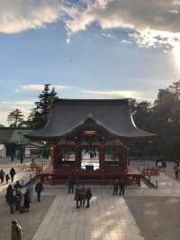 鎌倉鶴岡八幡宮😬鎌倉必訪歷史景點☺️超令市區景色🤣東京近郊推薦