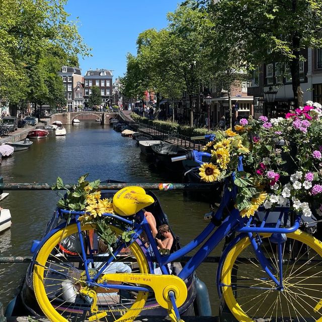 Amsterdam Postcard 🇳🇱