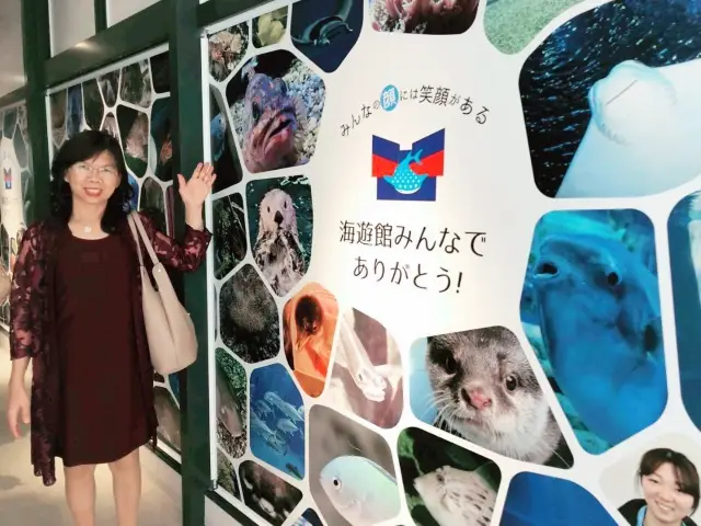 🐬海洋生物全接觸 ｜親親魟魚 - 大阪海遊館