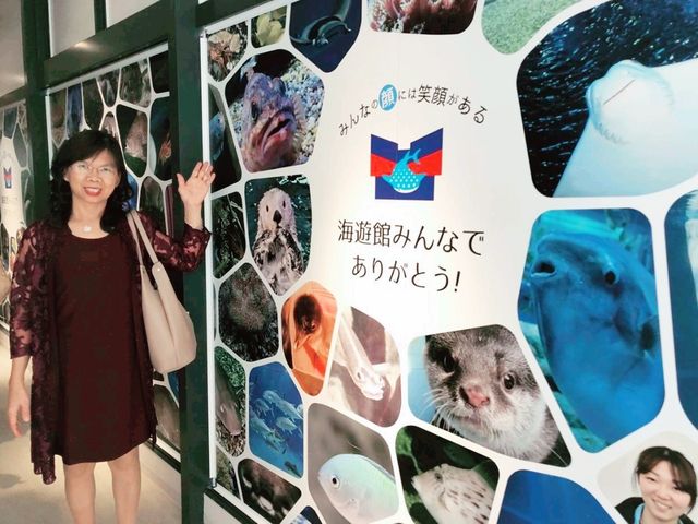 🐬海洋生物全接觸 ｜親親魟魚 - 大阪海遊館