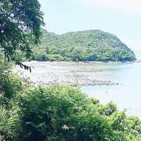心曠神怡 ！大嶼山遊蹤 ！