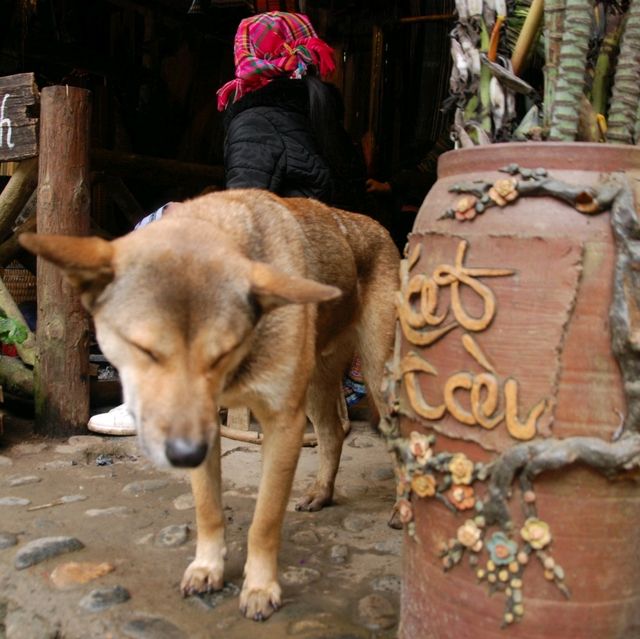 Cat Cat Village, Sa Pa: A rich cultural heritage