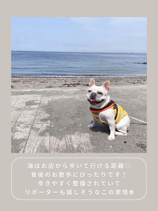 【横須賀】わんこと行けるおしゃれランチ🌿
