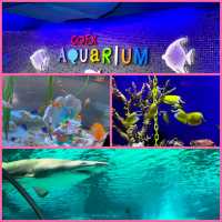 首爾商場內水族館