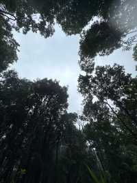 อุทยานแห่งชาติภูสอยดาว | Phu soi dao National Park