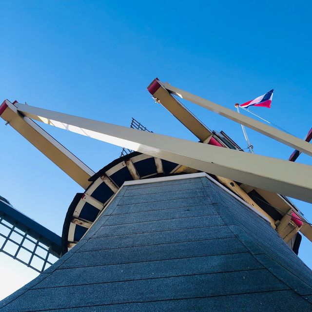 荷蘭🇳🇱盧瑟Lisse•風車景觀區🎡🛶Keukenhof Garden庫肯霍夫花園 